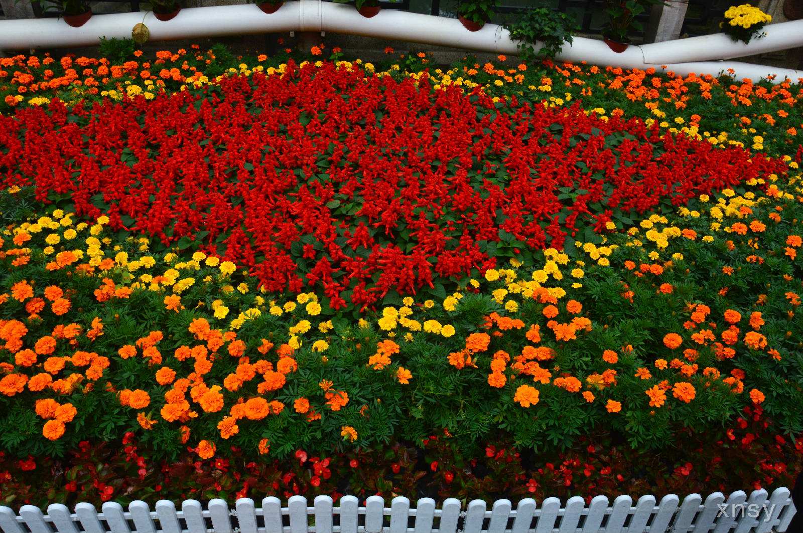 DSC_0414.JPG