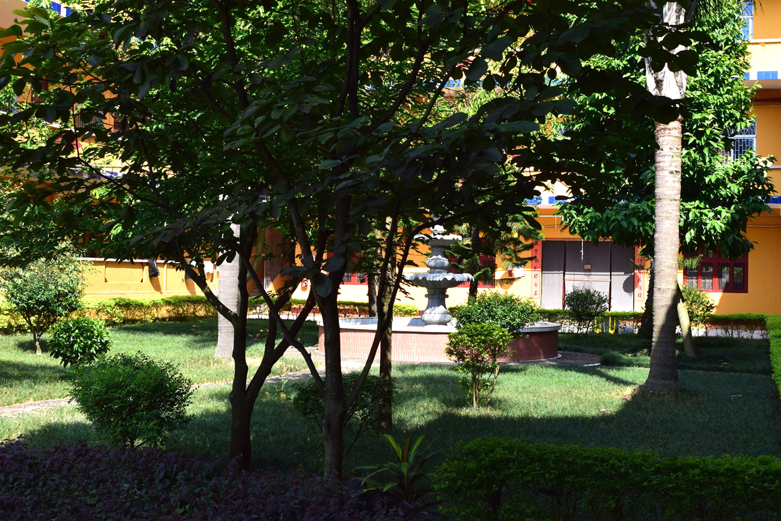 DSC_0437.JPG