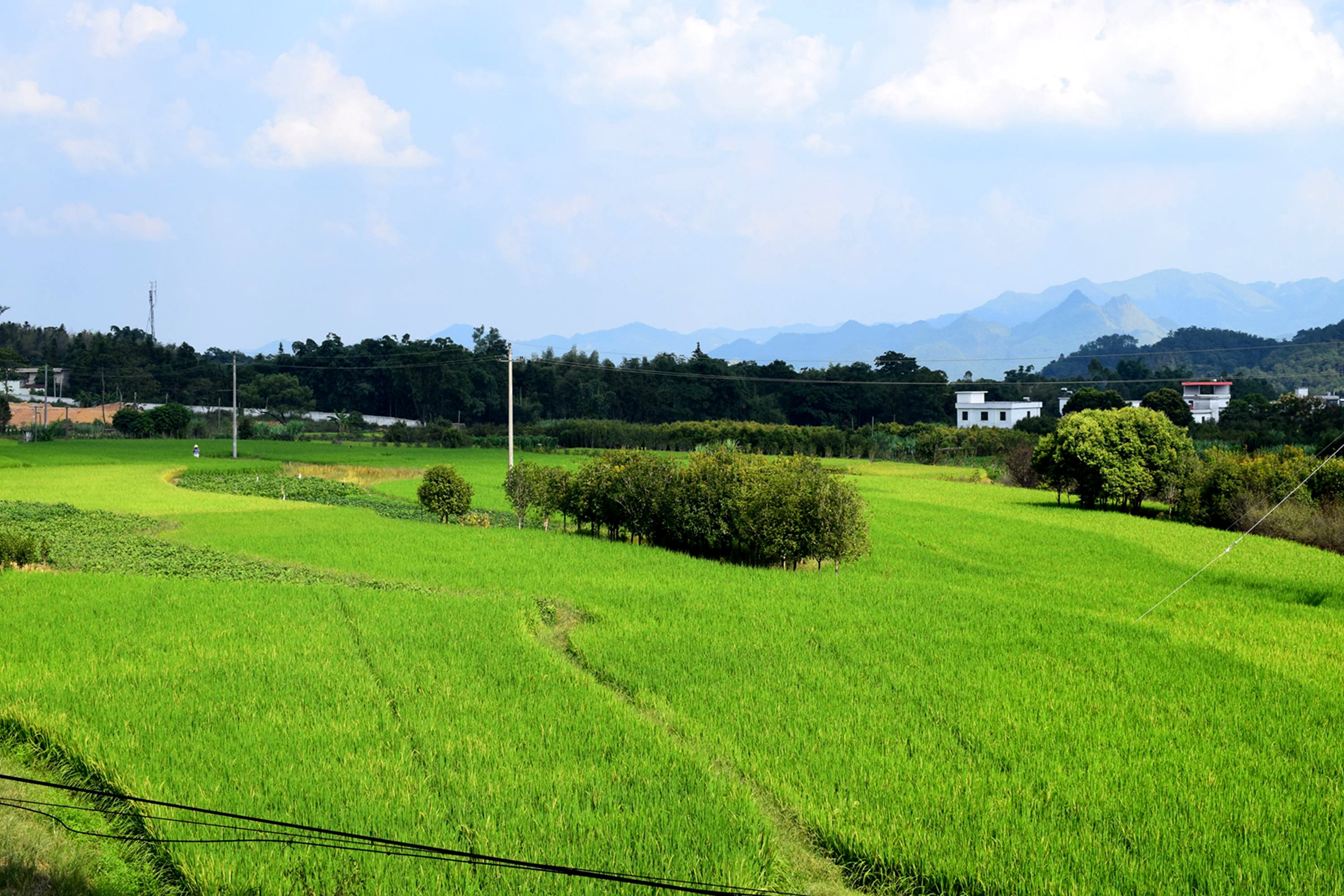 DSC_0467.JPG