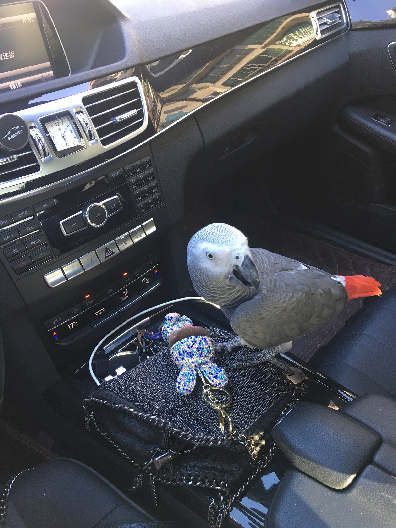 20171008101709.jpeg