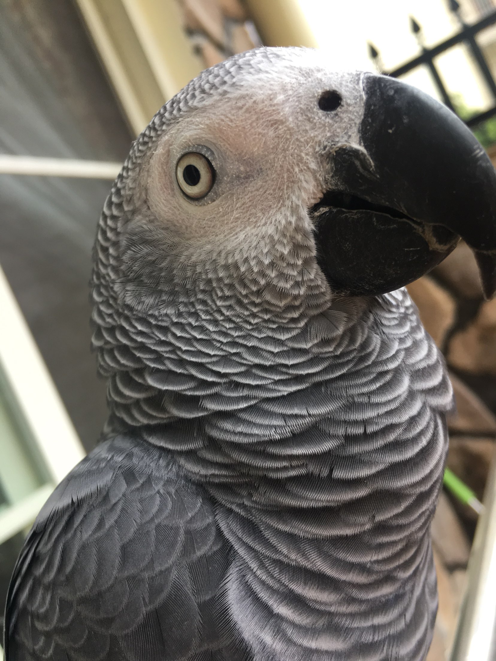20171008101710.jpeg