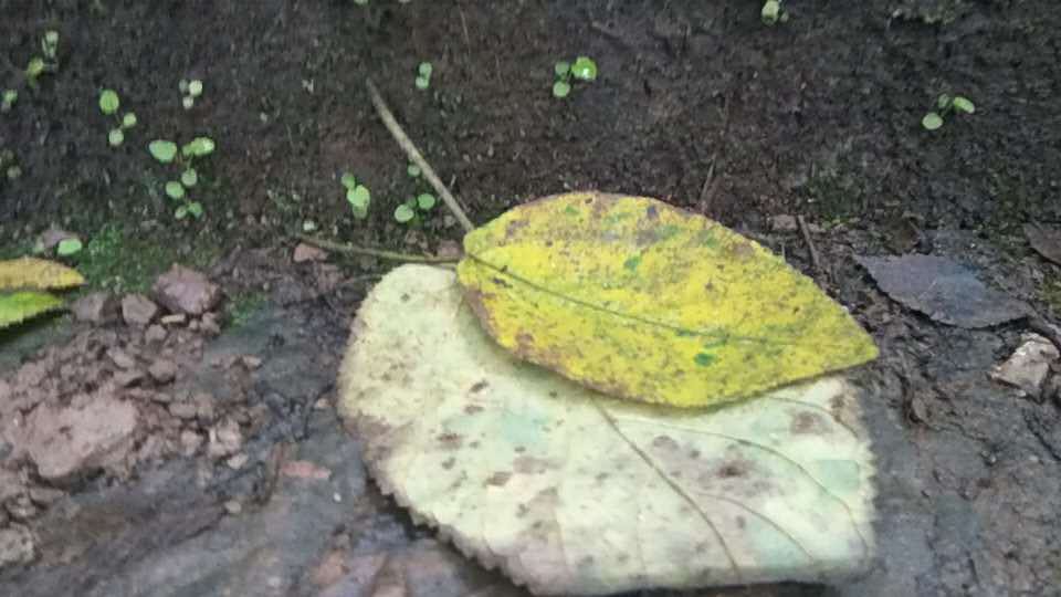 347208808280628094.jpg