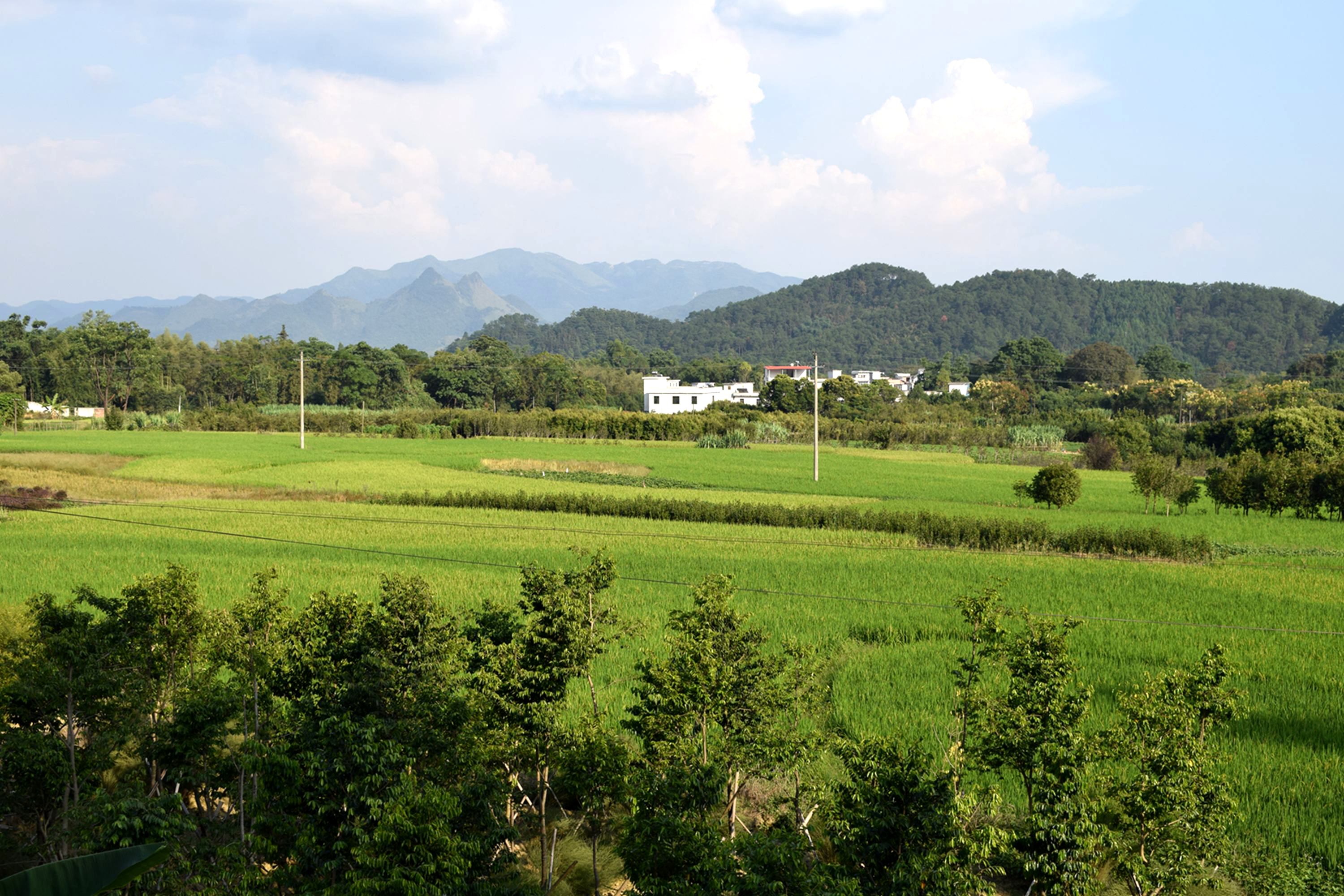 DSC_0575.JPG