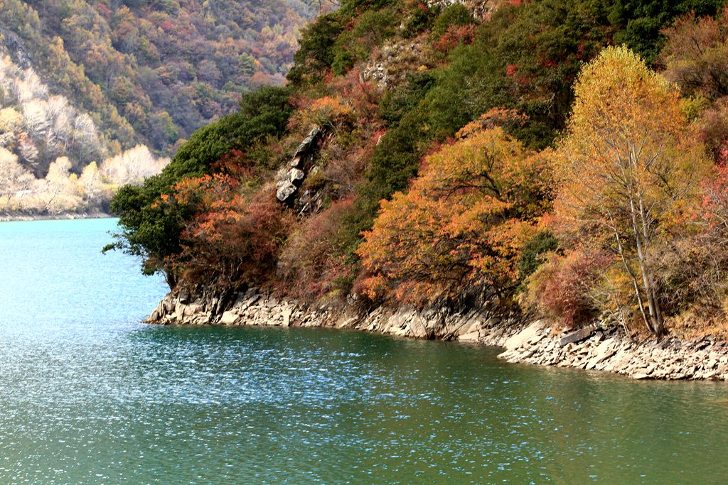 IMG_7236_副本.jpg