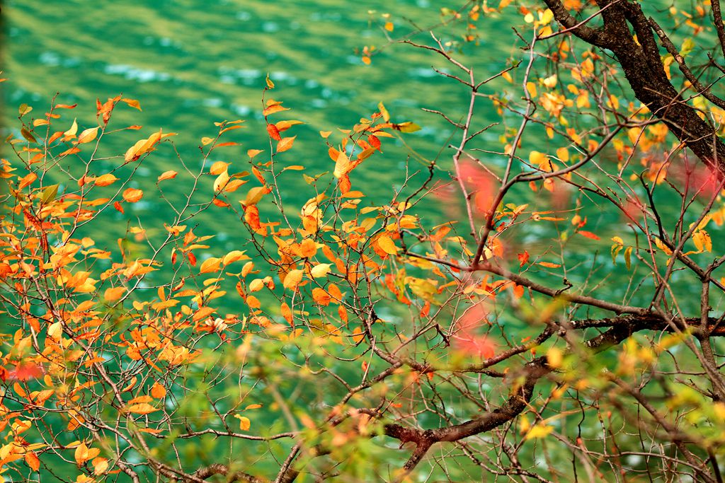 IMG_7271_副本.jpg