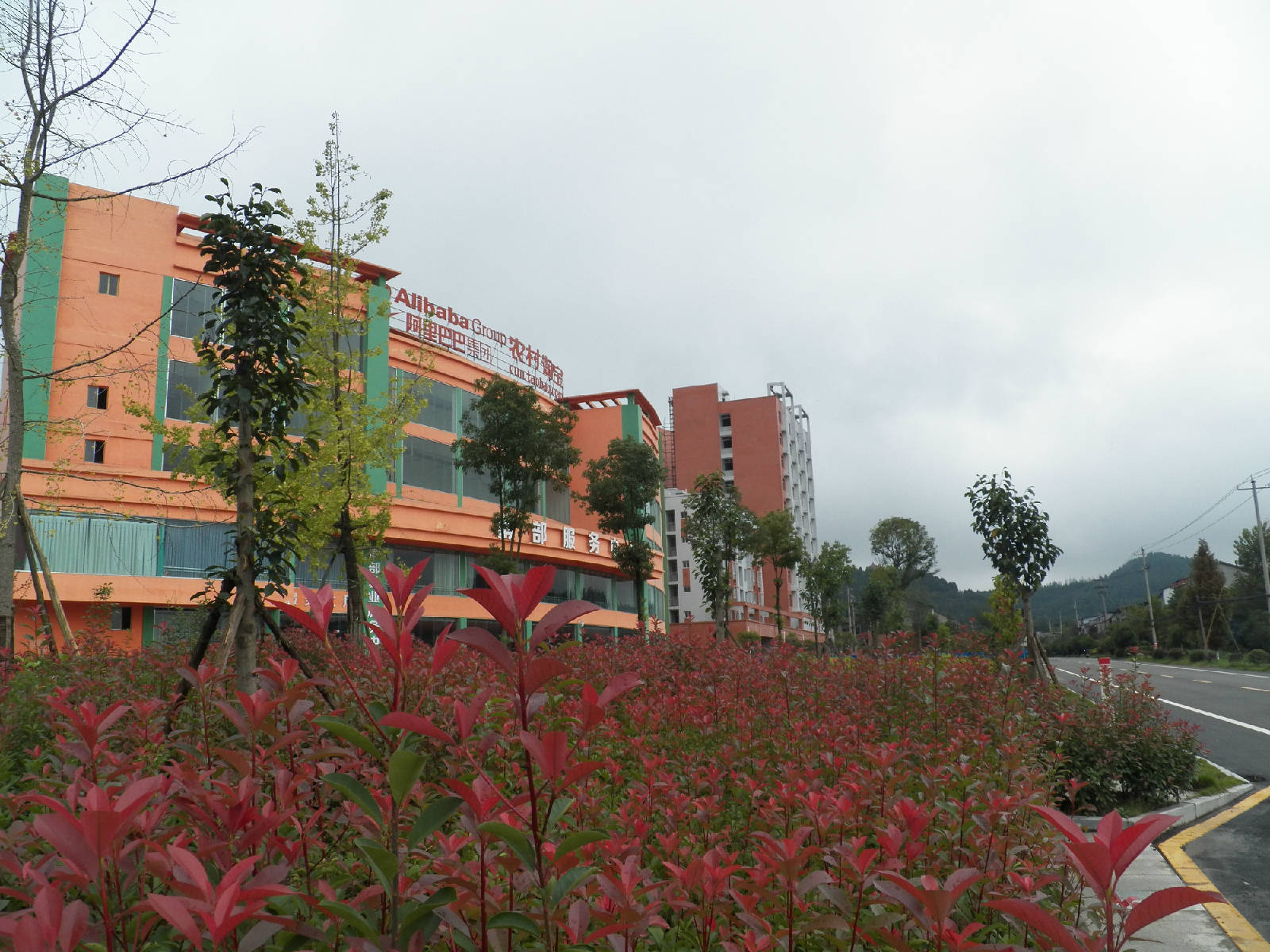 100_2137.JPG