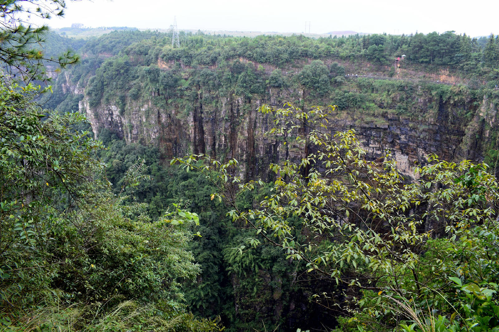 DSC_0675.JPG