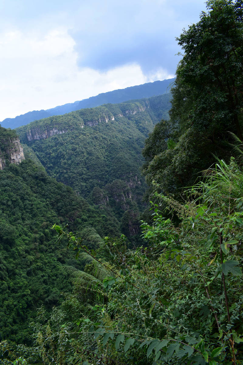 DSC_0861.JPG