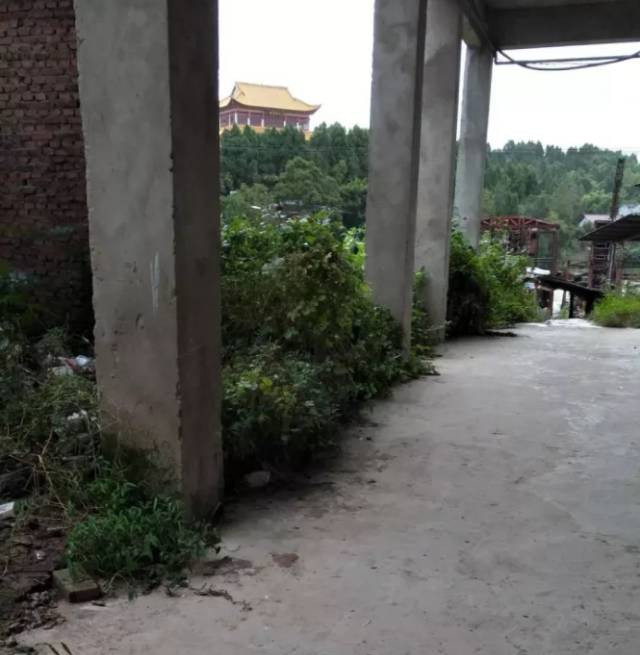 095858pef1ft3wkqv8vfwv.jpg
