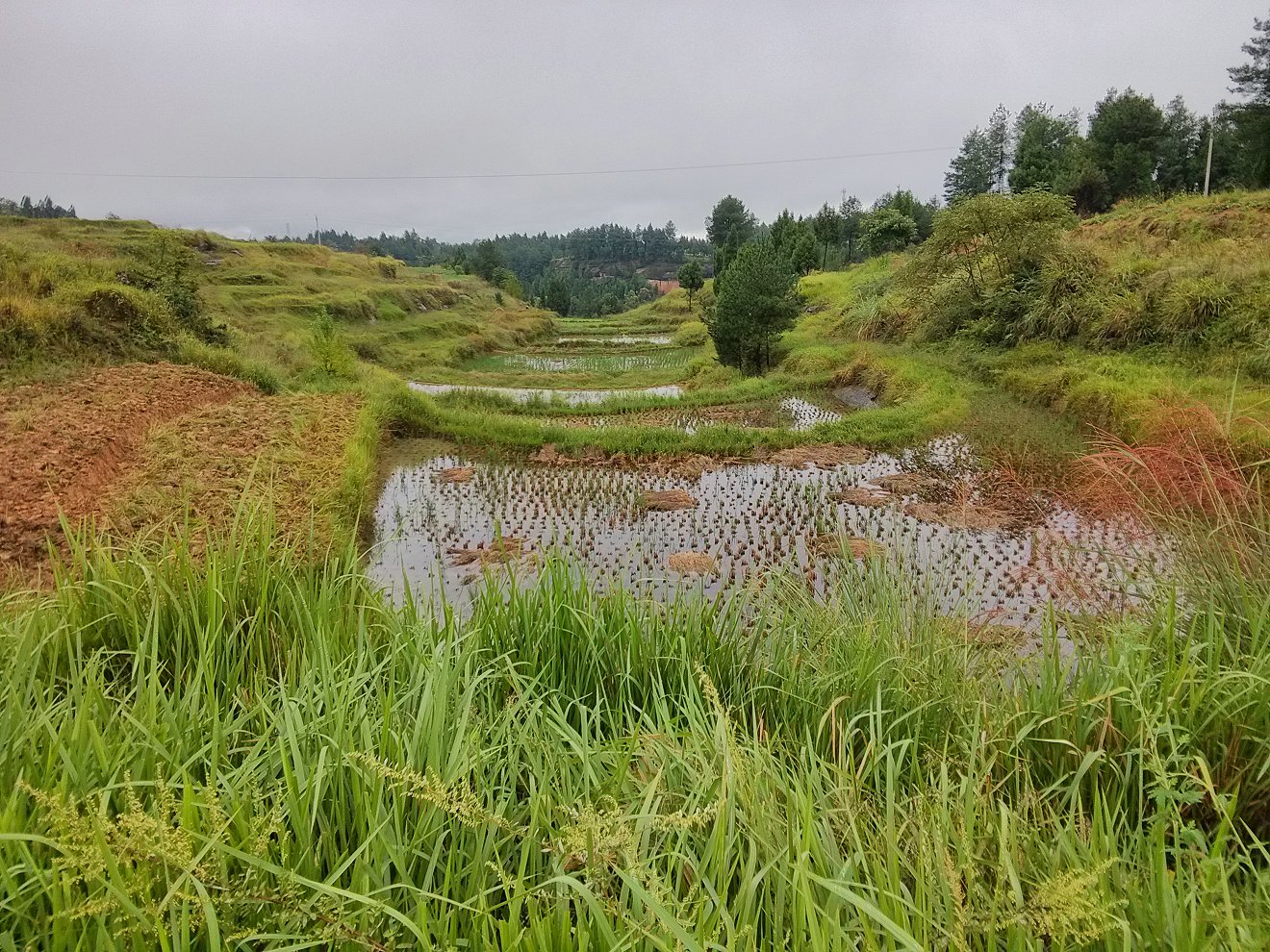 IMG_20171004_170353_HDR.jpg