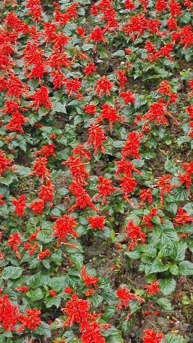 IMG_20171013_163615.jpg