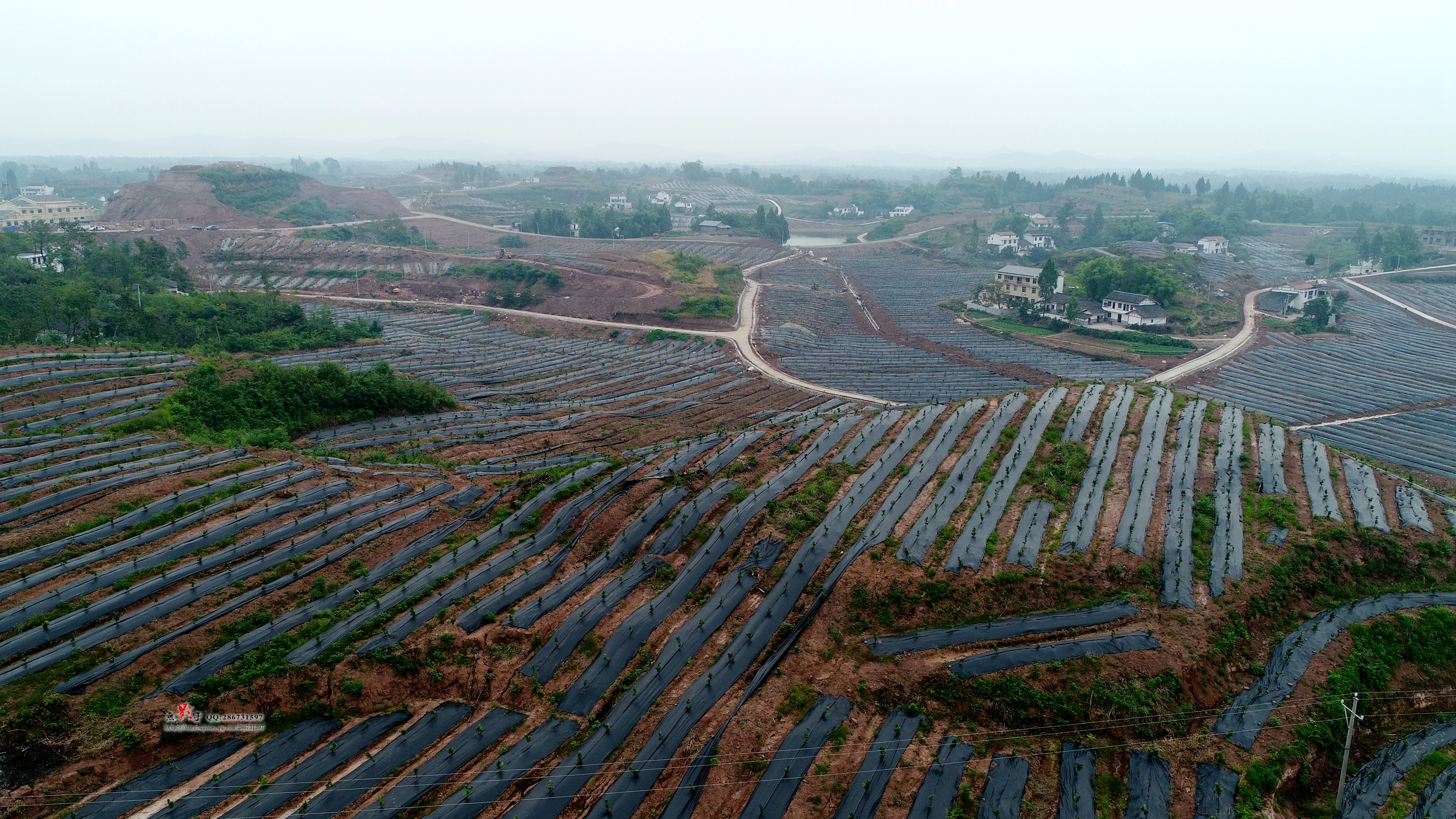 DJI_0005.jpg