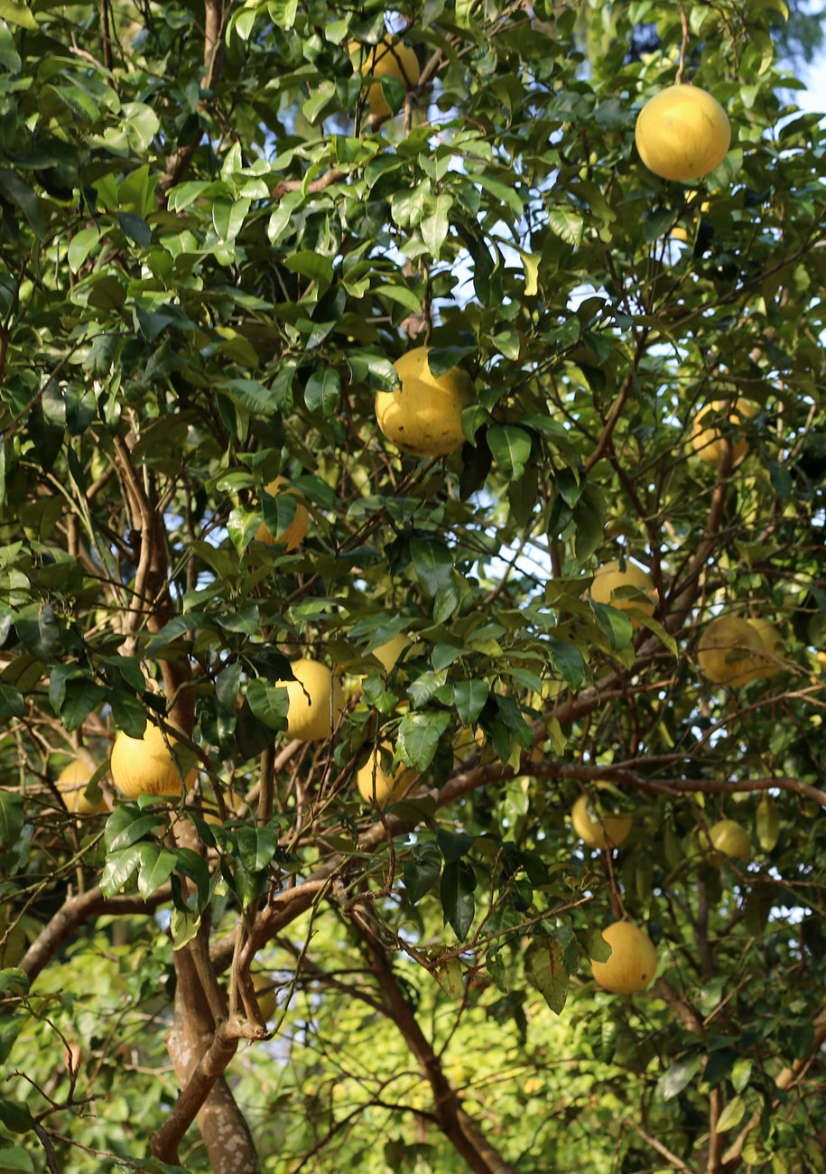 S98A6497_.jpg