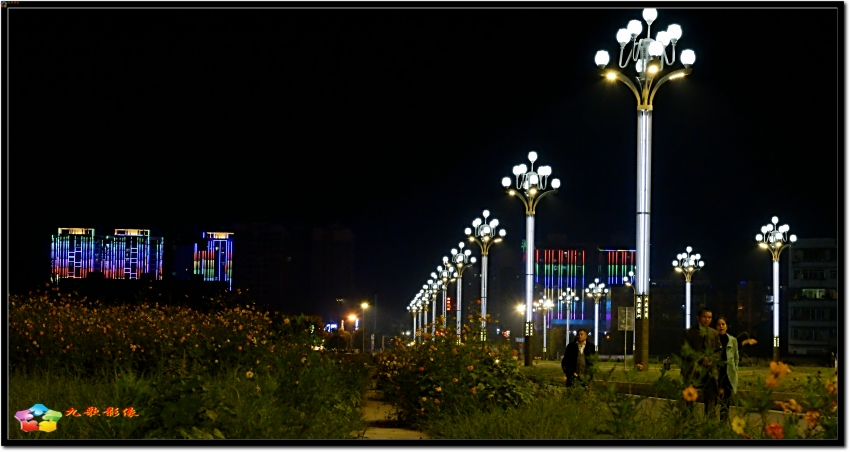 _DSC1803_conew1.jpg