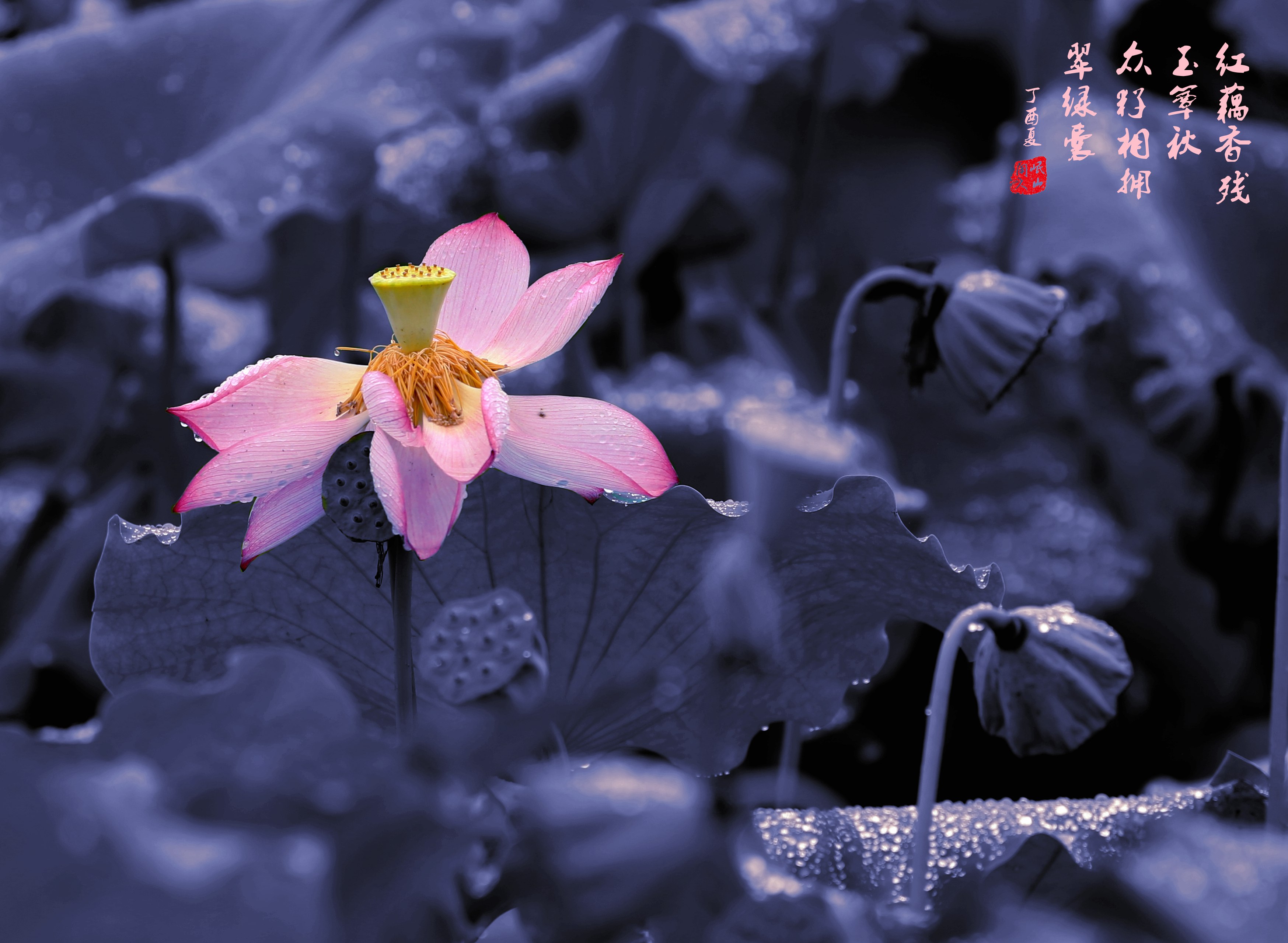 085A9660_副本_副本.jpg