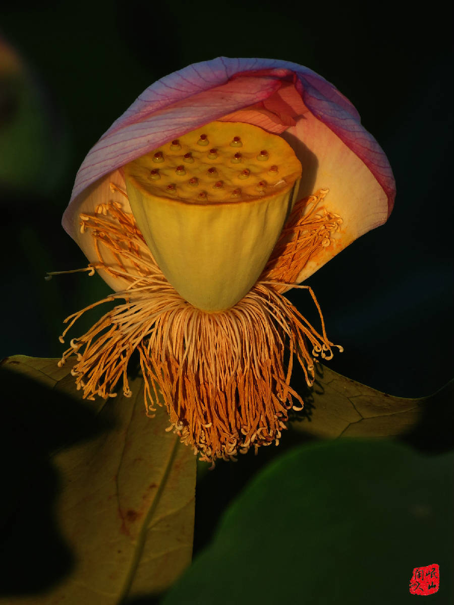 IMG_6145.JPG