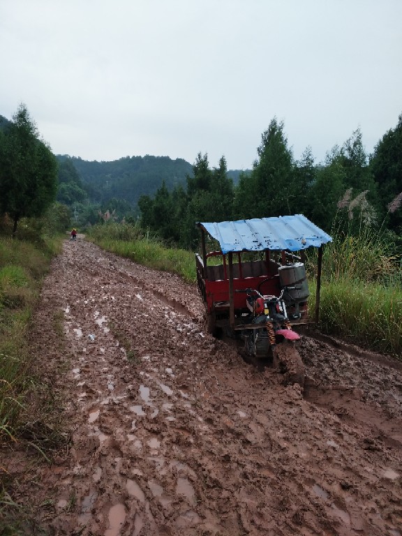 營山縣雙流鎮九龍村村公路