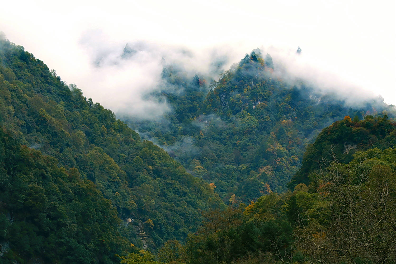 二郎河图片