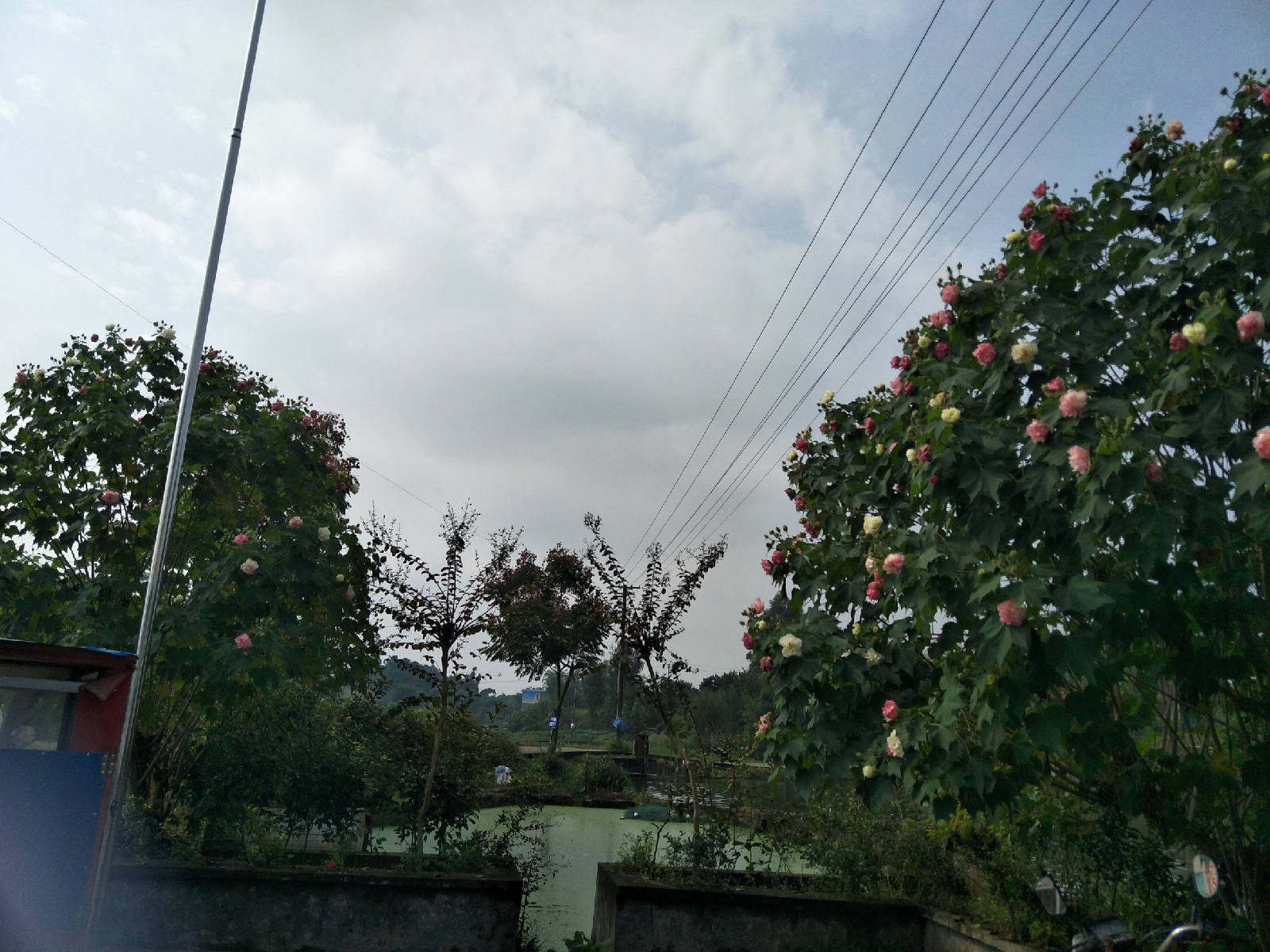 IMG20171026104802.jpg
