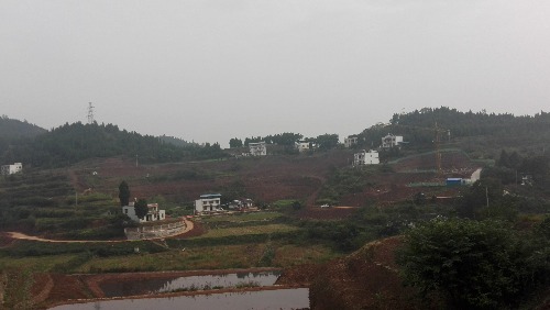 IMG_20171031_101658.jpg