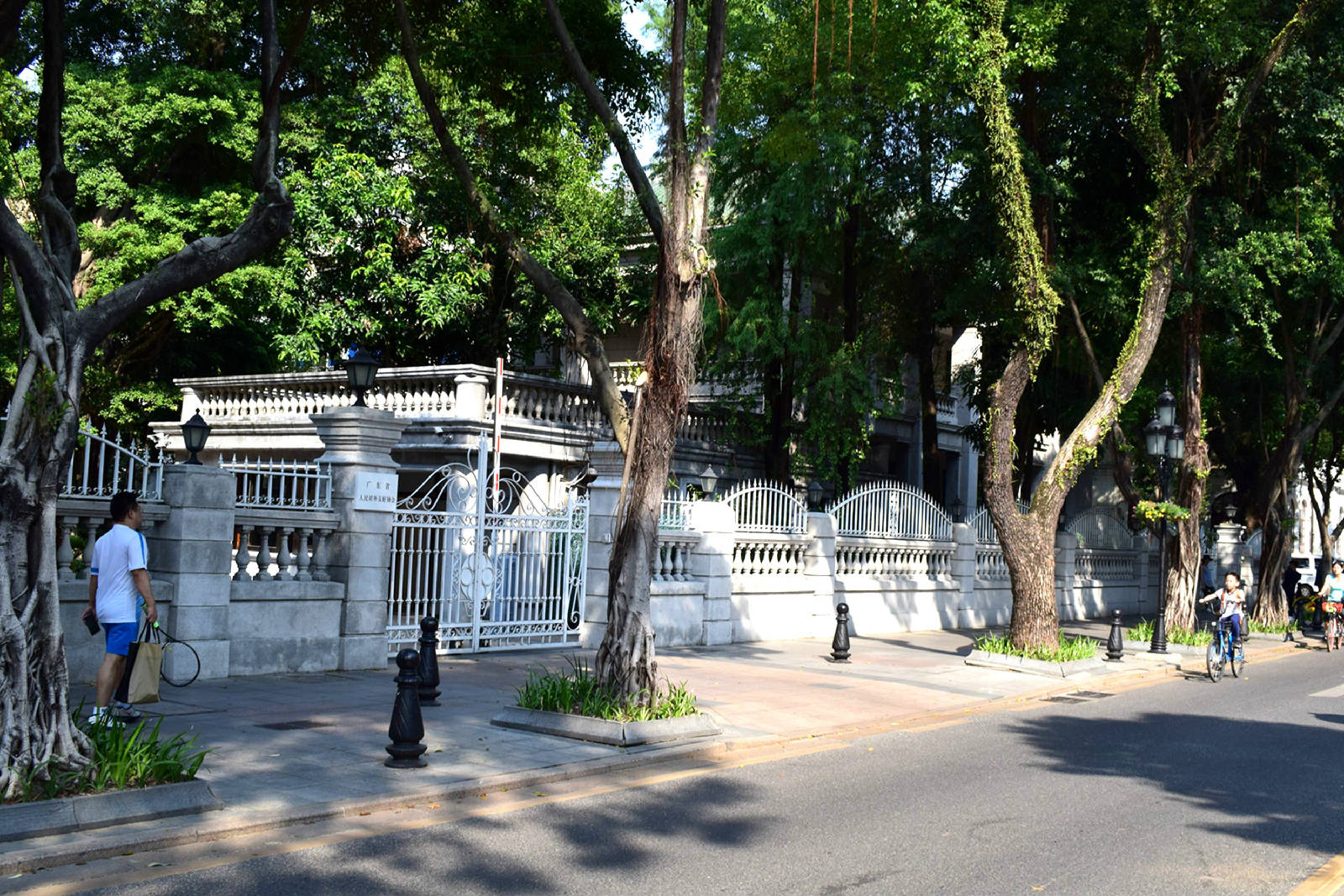 DSC_0486.JPG
