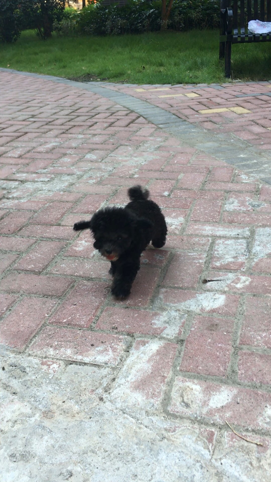 20171101071708.jpeg