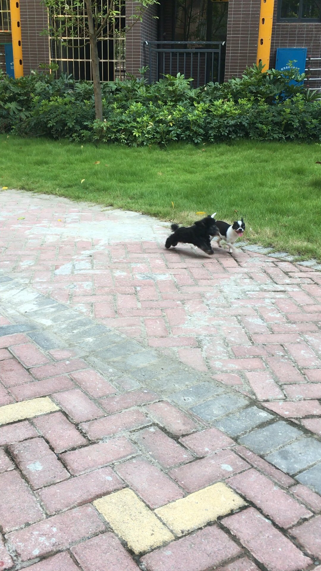 20171101101824.jpeg