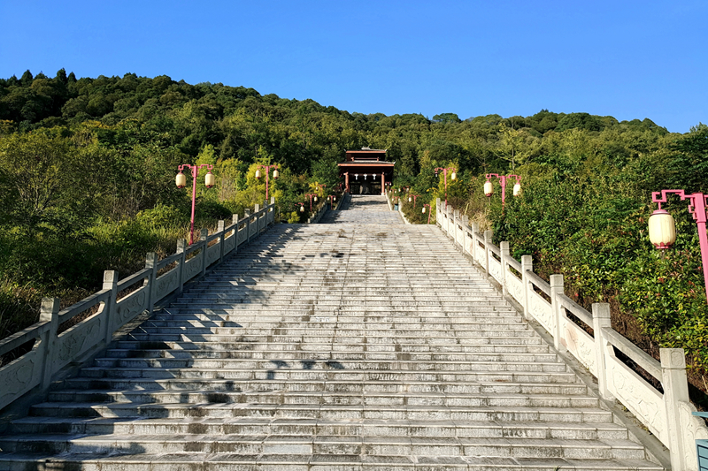 阆中 (19).jpg