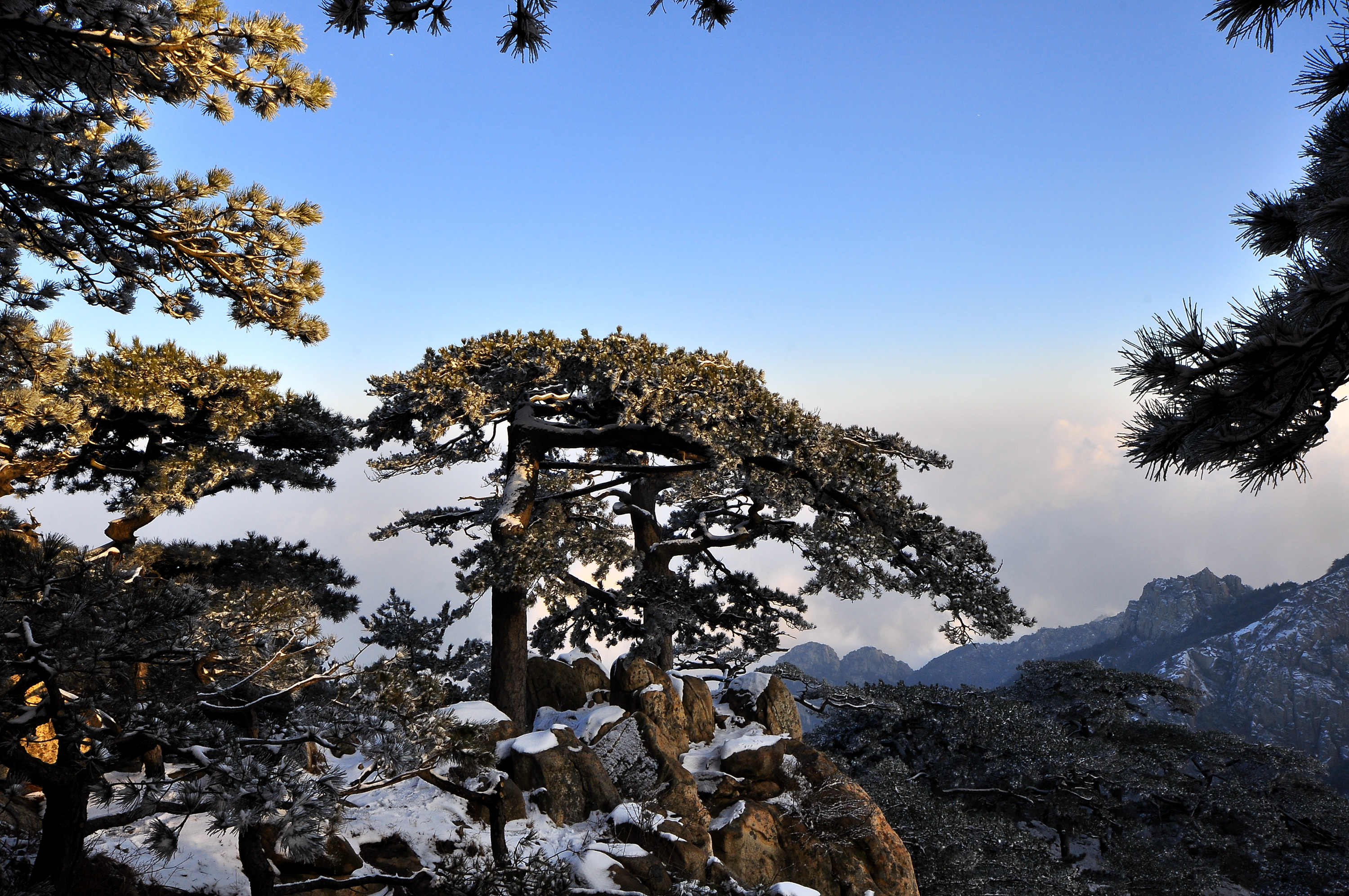 泰山一日游