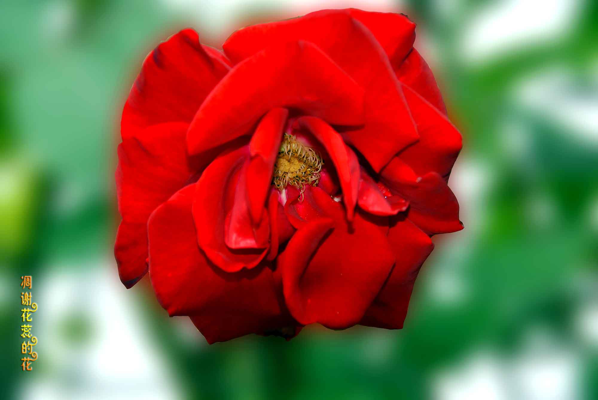 DSC_3892.jpg