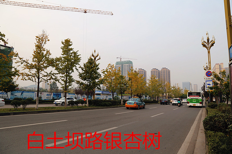 IMG_0003(1)_副本.jpg