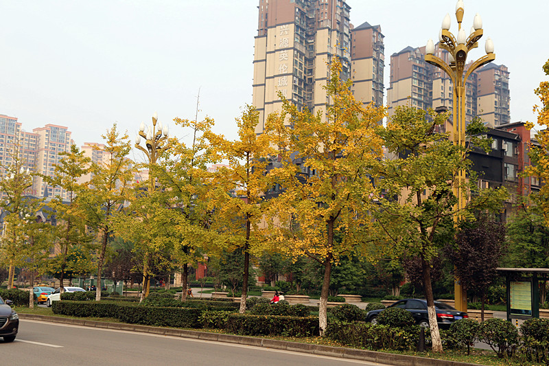 IMG_0010_副本.jpg