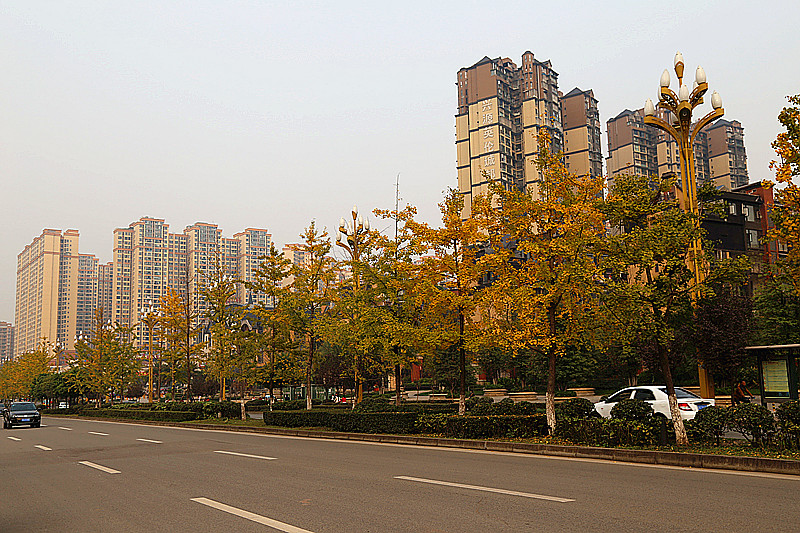 IMG_0012_副本.jpg