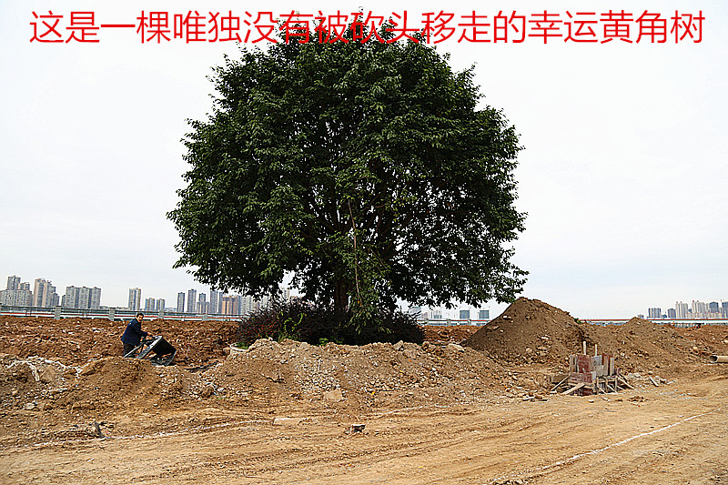 IMG_0174_副本.jpg