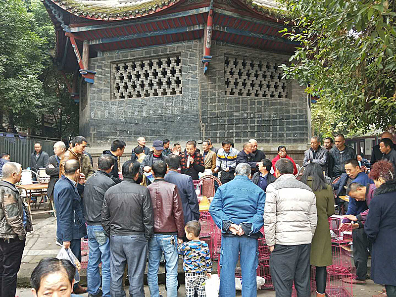 微信图片_20171112213052_副本.jpg