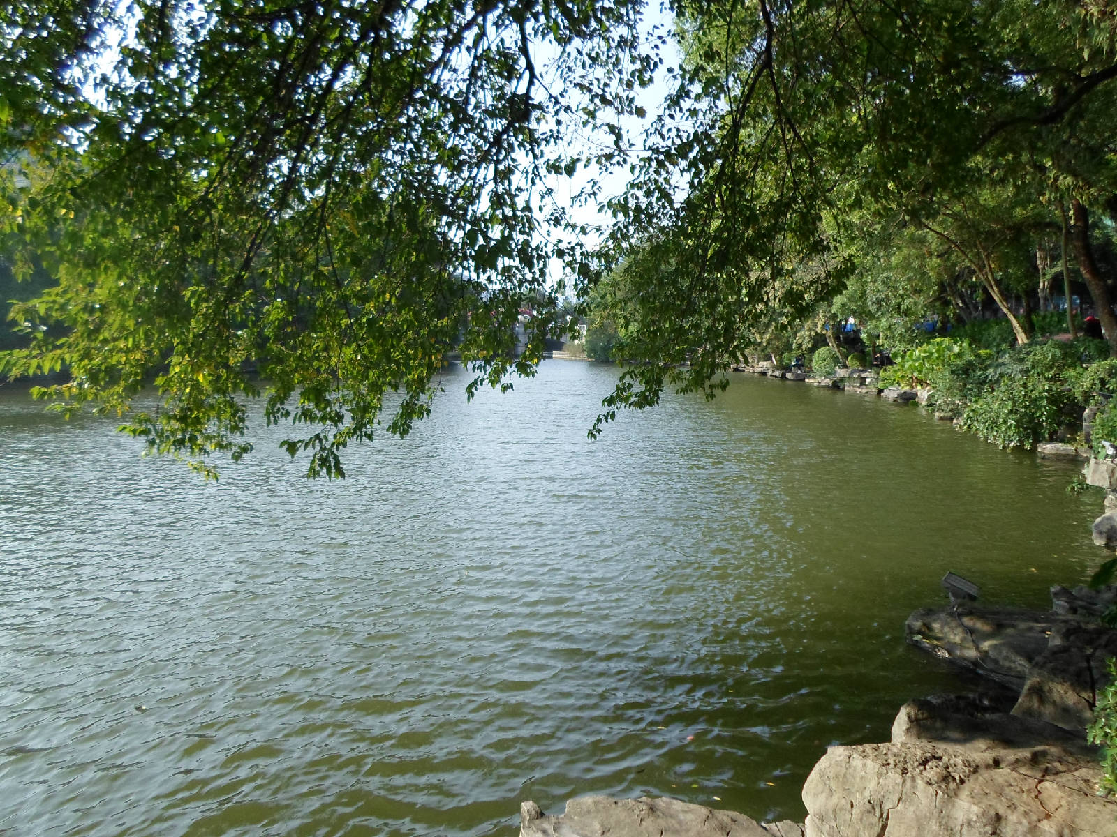 SAM_2236.JPG
