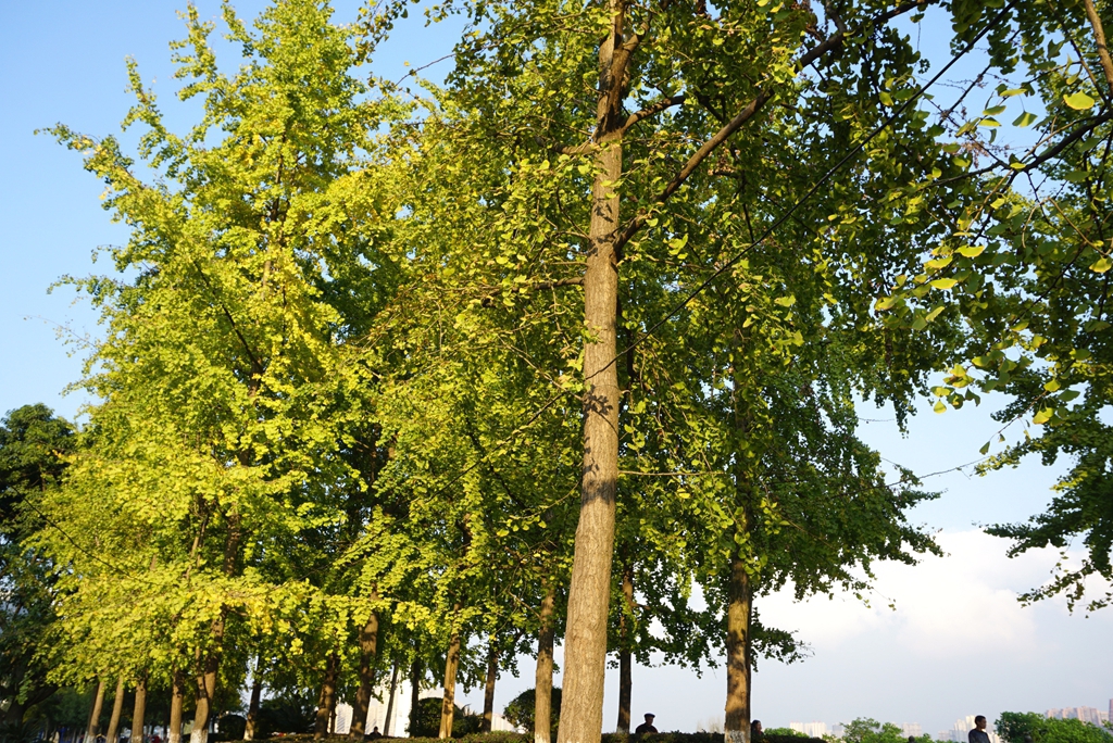 DSC04558__.jpg