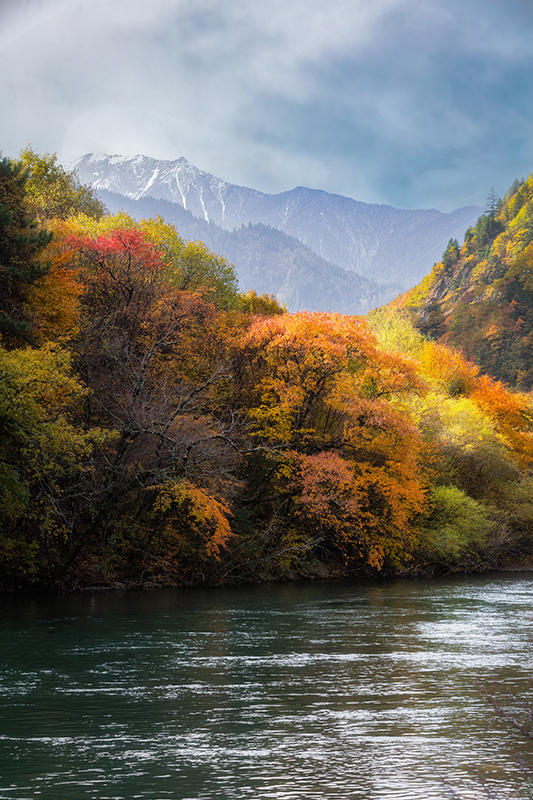 _S3A0259-1.jpg