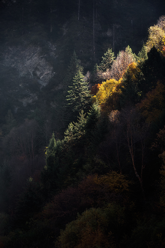 _S3A0811.jpg