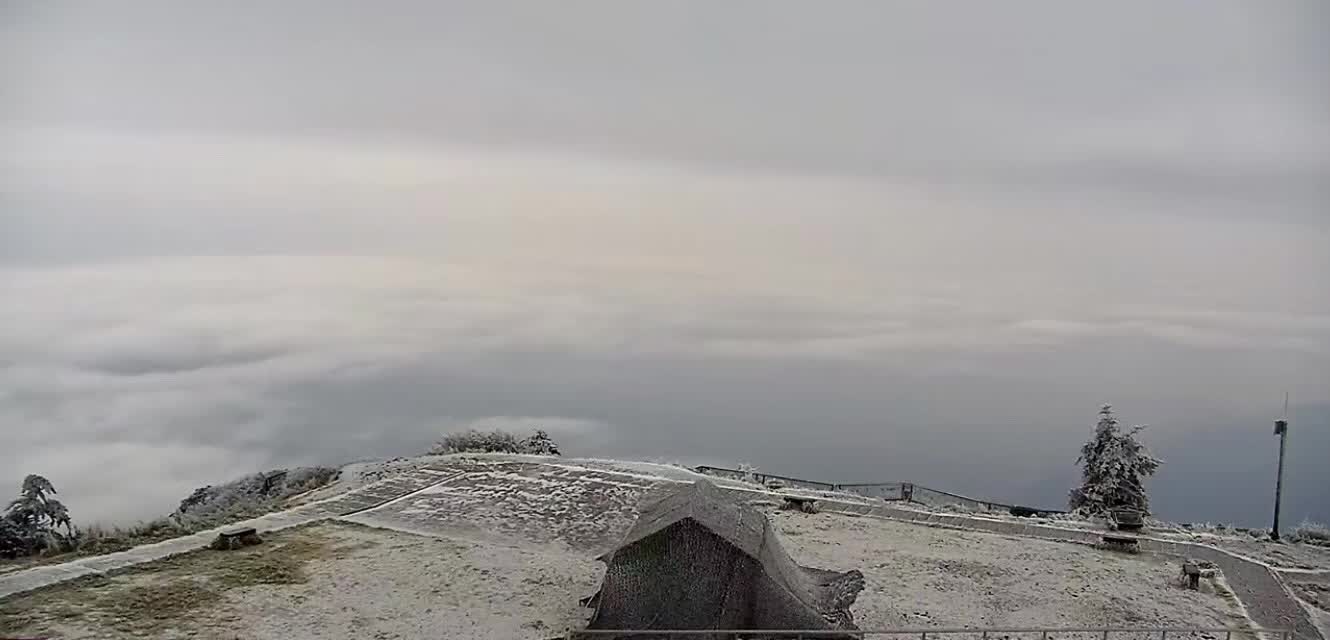 微信图片_20171120113418.jpg