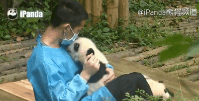 400_203gif 动态图 动图