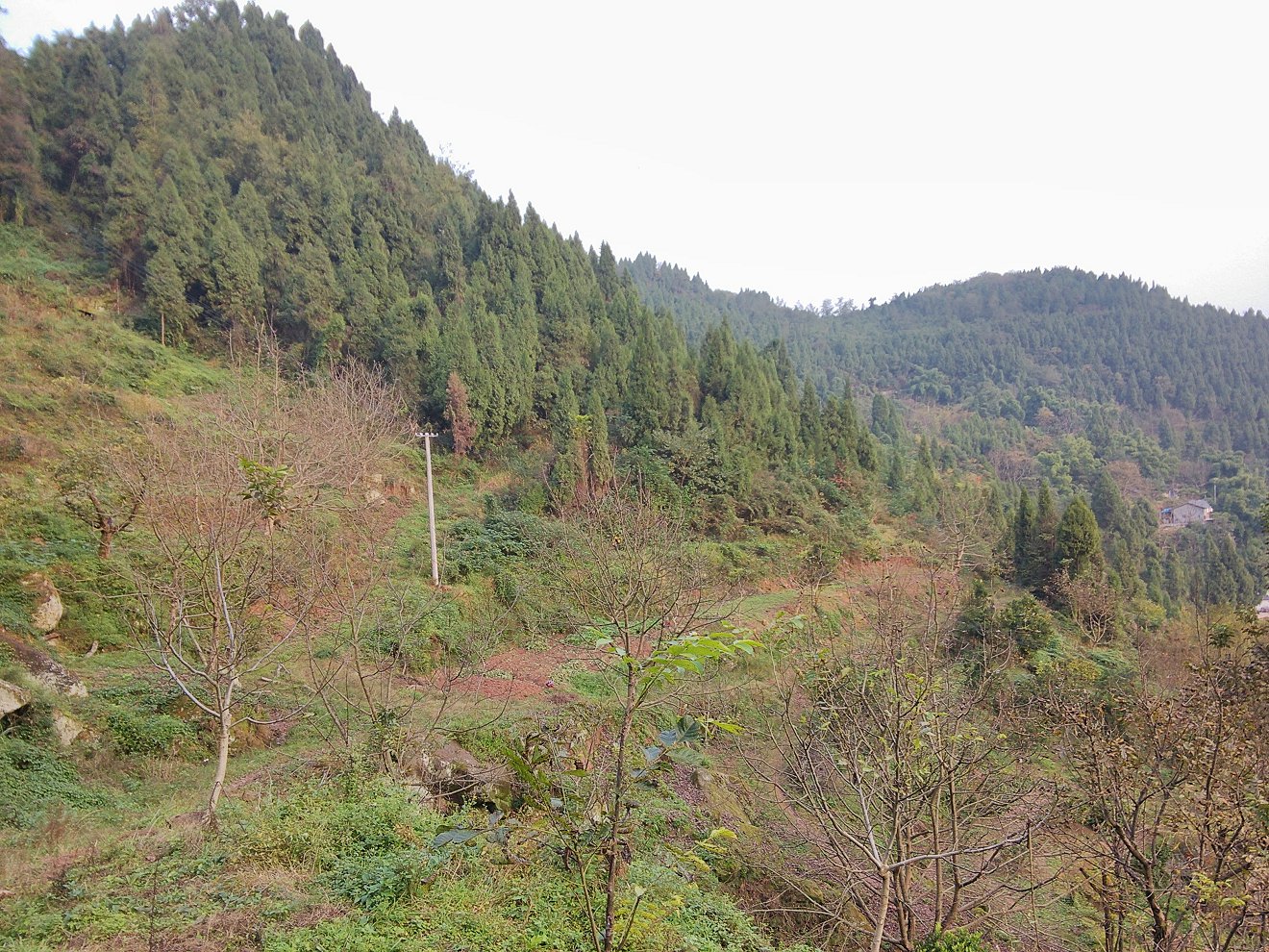 IMG_20171104_164416_HDR.jpg