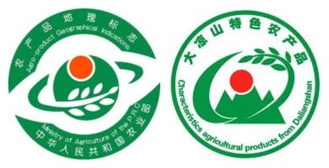 大凉山盐源冰糖心丑苹果