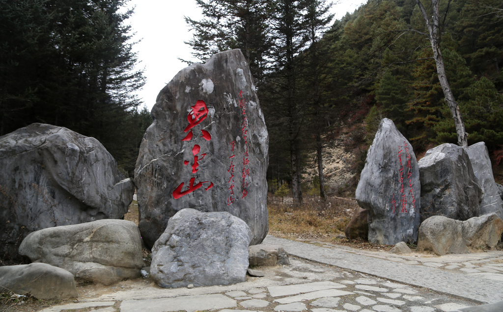 夹金山采