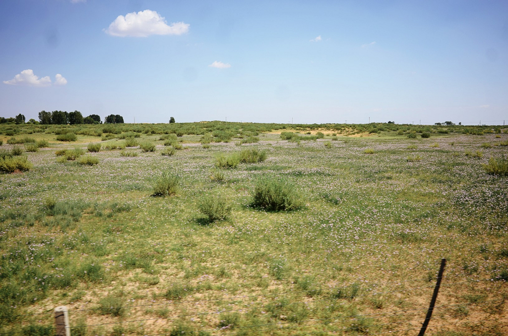 DSC_3993_mix01.jpg