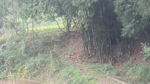 IMG_20171128_105112.jpg