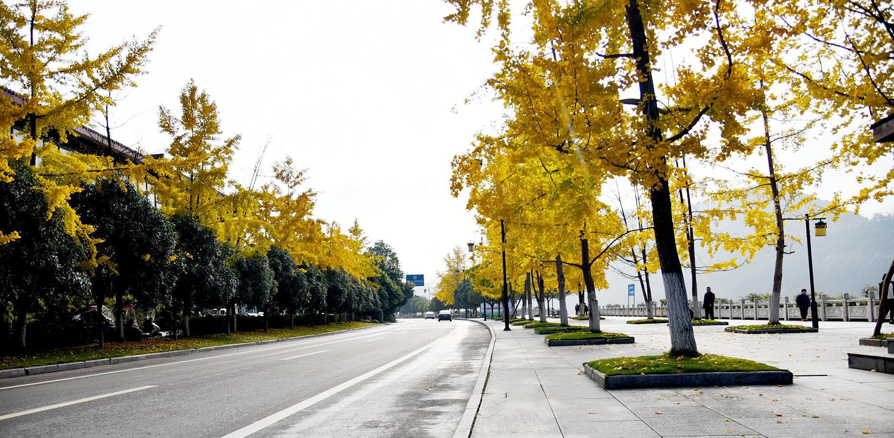 DSC_2517_副本.jpg