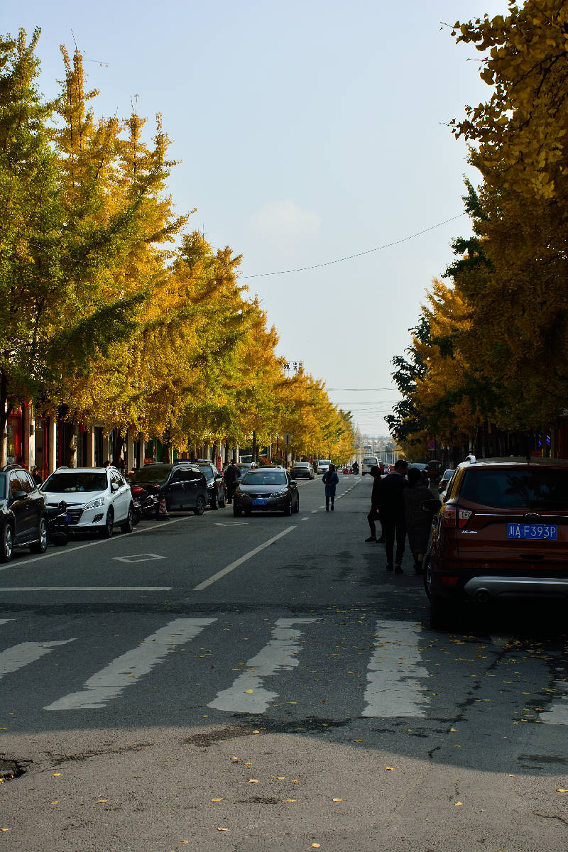 DSC_4213.JPG