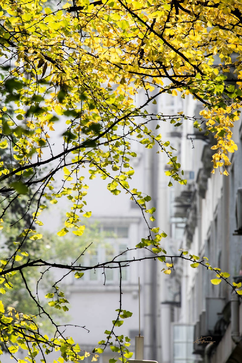 DSC_8108.jpg