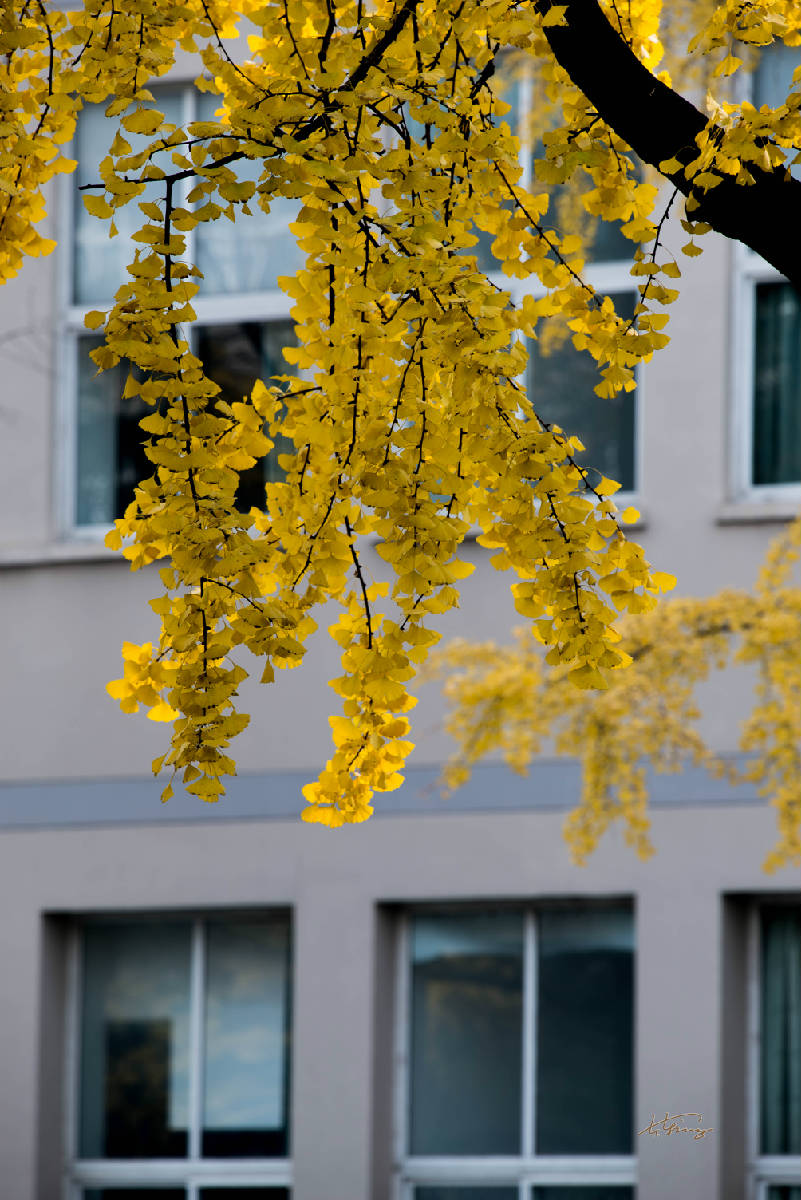 DSC_8131.jpg